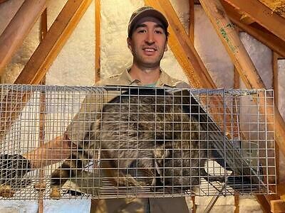 Lakeland pest control